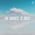 THE-HARVEST-IS-GREAT-150x150.jpg?v=1718203073